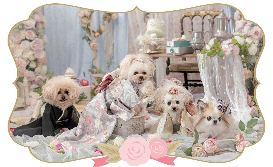 チワワ・トイプードル